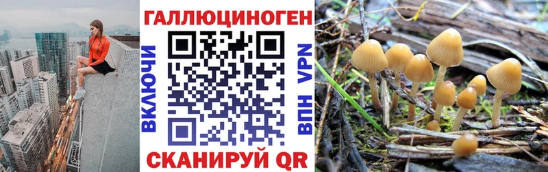 Галлюциногенные грибы мицелий Кузнецк