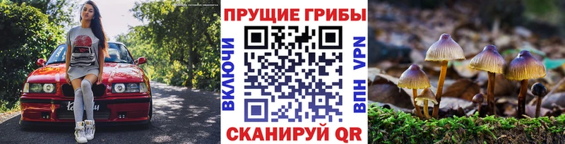 где купить наркотик  Кузнецк  кракен сайт  Галлюциногенные грибы мухоморы 